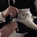 Ernst Stavro Blofeld (Anthony Dawson)